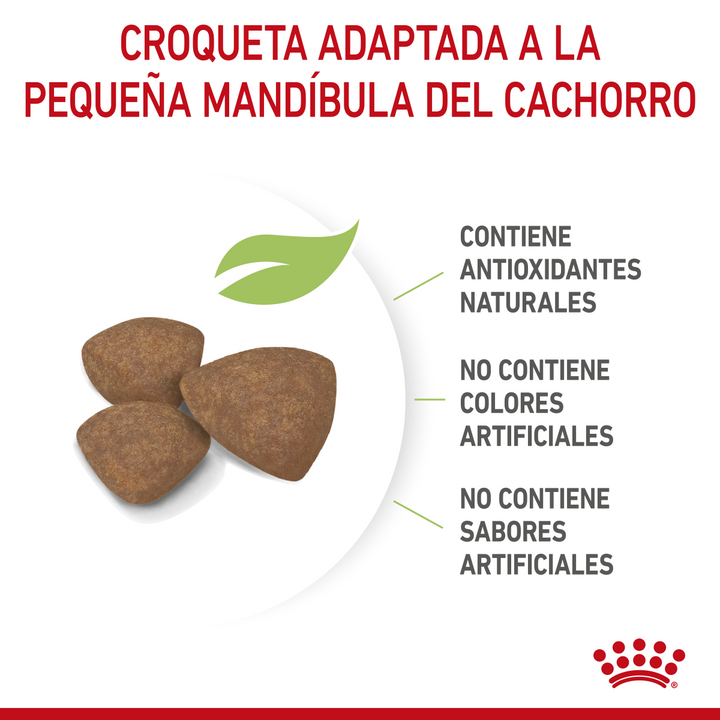 Small Puppy Petit Royal Canin Profesional
