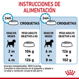 Small Puppy Petit Royal Canin