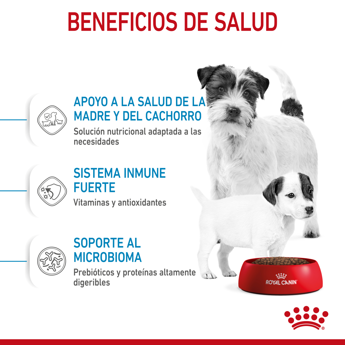 Starter Mother and Baby Dog Small 6.36 Kg. Profesional