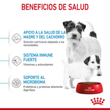 Starter Mother and Baby Dog Small 6.36 Kg. Profesional