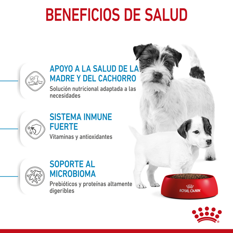 Starter Mother and Baby Dog Small 6.36 Kg. Profesional