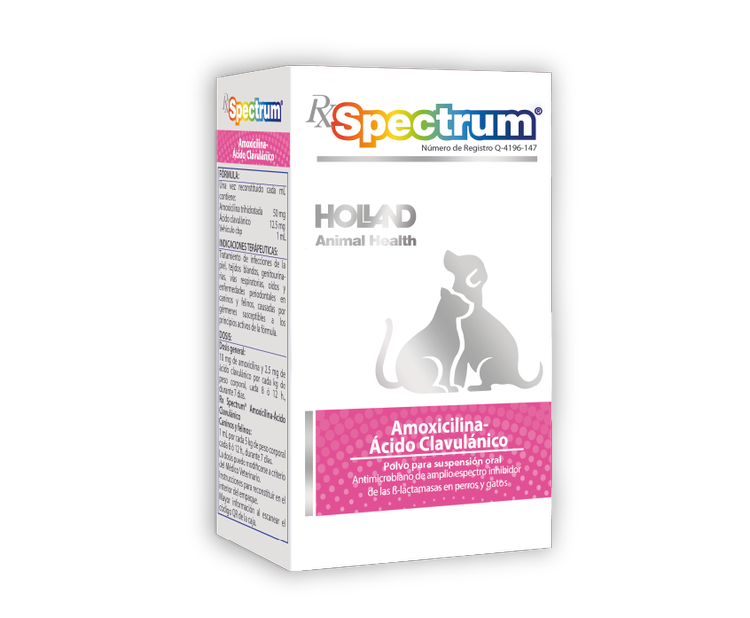 AMOXICILINA-ACIDO CLAVULANICO SUSP. 30 mL