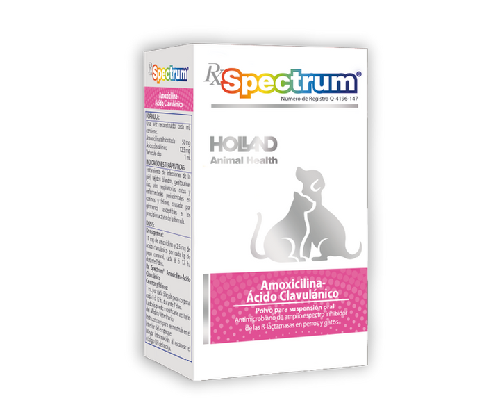 AMOXICILINA-ACIDO CLAVULANICO SUSP. 30 mL