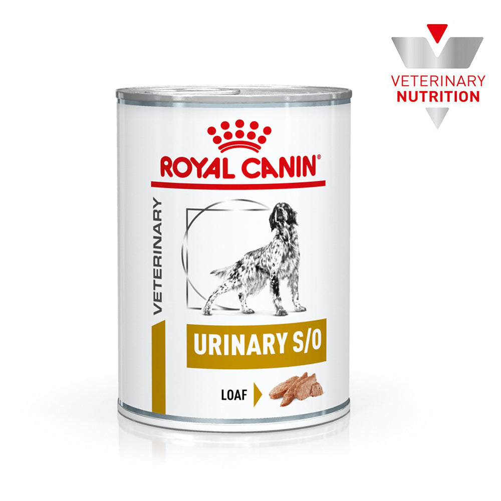 Lata Urinary Canine Royal Canin