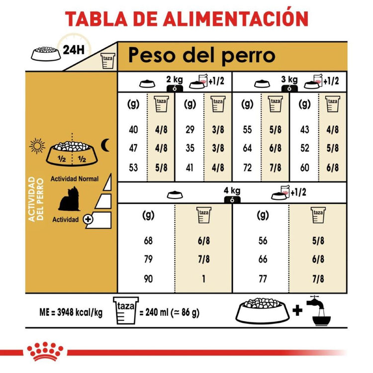 Yorkshire Terrier Profesional