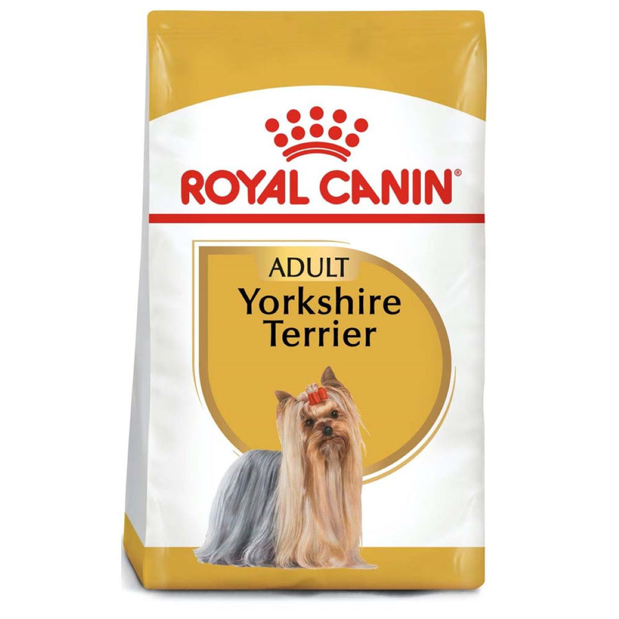 Yorkshire Terrier