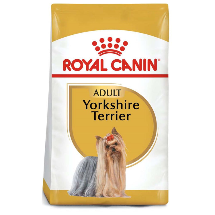Yorkshire Terrier