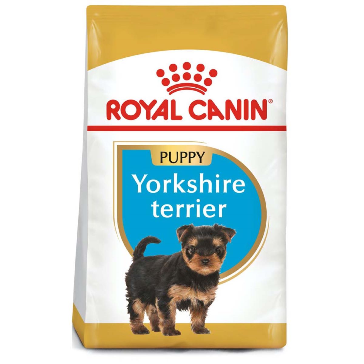 Yorkshire Terrier Puppy  1.3 Kg.