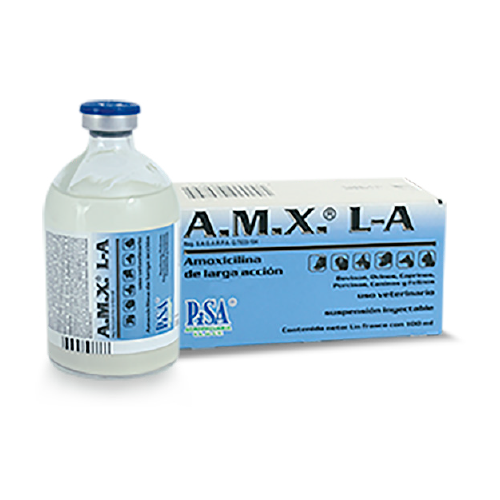 AMX L.A INY. 100ML