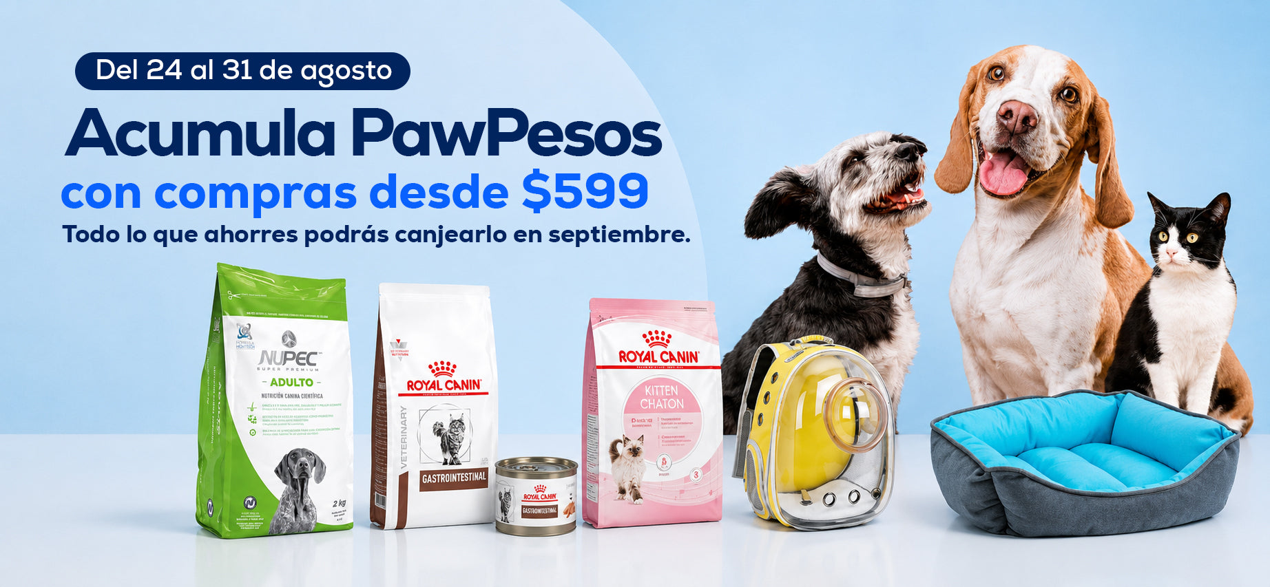 Promoción PetPaw