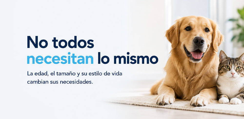 Promoción PetPaw