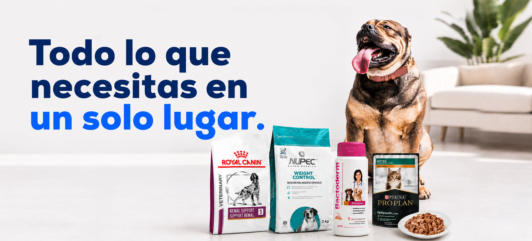 Promoción PetPaw