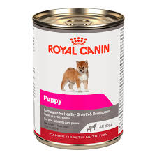 LATA PUPPY ALL DOGS 385 GRS