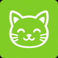 Gato