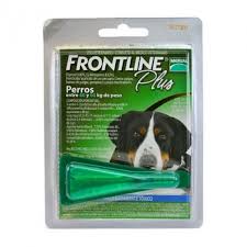 FRONTLINE PLUS