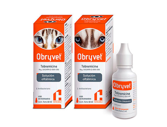 OBRYVET SOL. OFTALMICO 10 ML