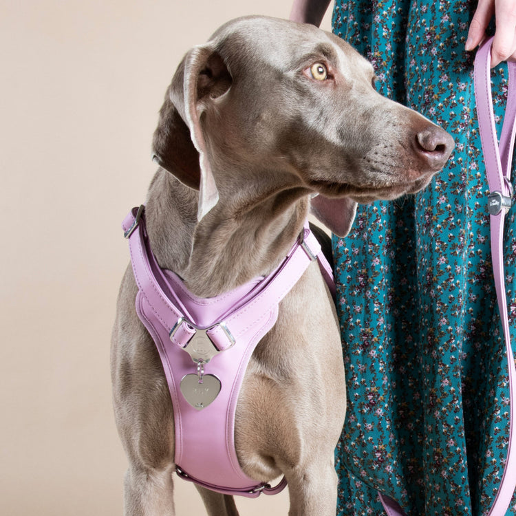 PLACA CORAZON CROMO GRANDE