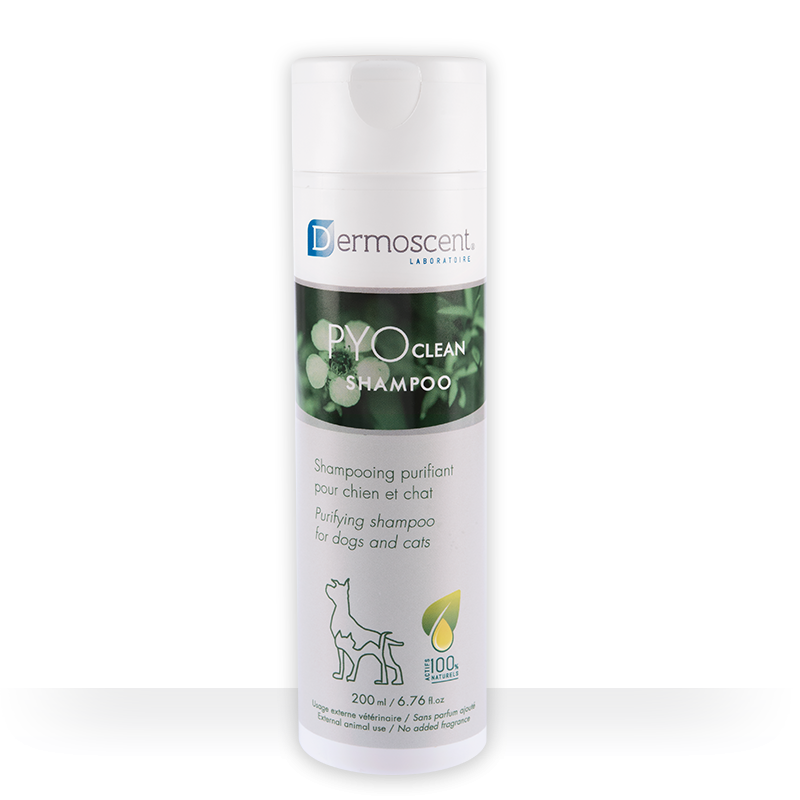 SHAMPOO PYO CLEAN 200 ML