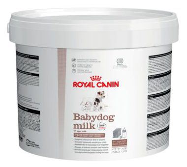 Baby dog milk