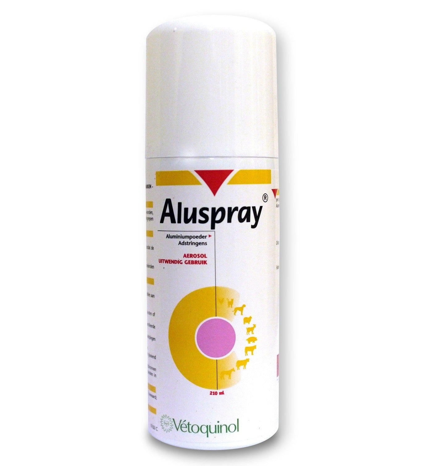 ALUSPRAY AER ENV 210 ML