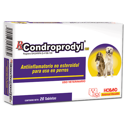 CONDROPRODYL 100 MG C/20 TABS