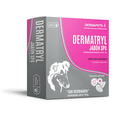 DERMATRYL SPA 100 GRS