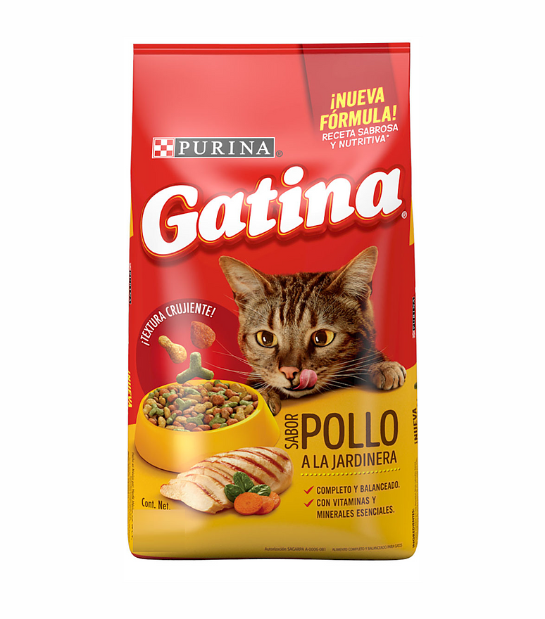 Gatina