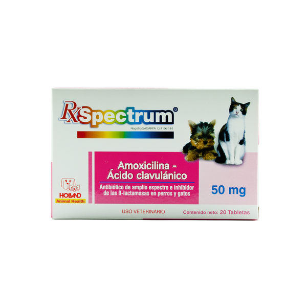 AMOXICILINA Y ACIDO CLAVULANICO 50 mg C/