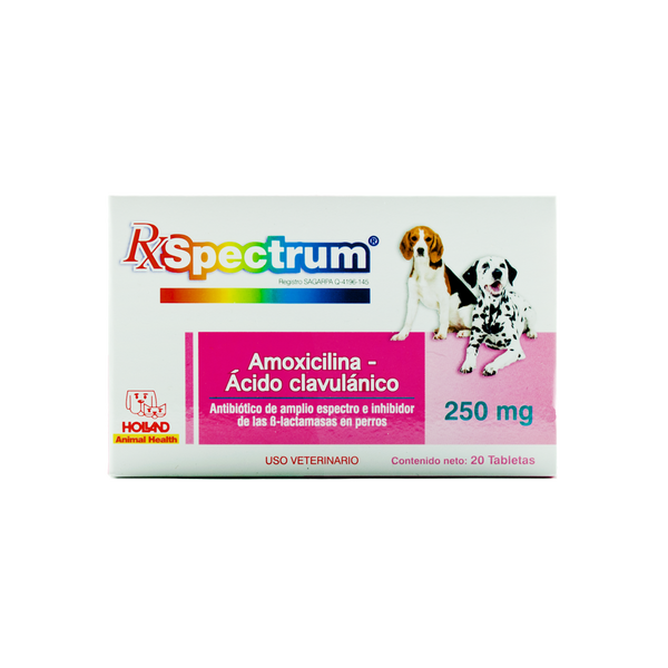 AMOXICILINA Y ACIDO CLAVULANICO 250 mg