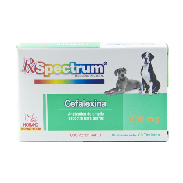 CEFALEXINA 600 mg c/20 Tab.