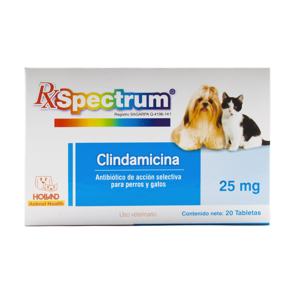 CLINDAMICINA 25 mg C/20 Tab.