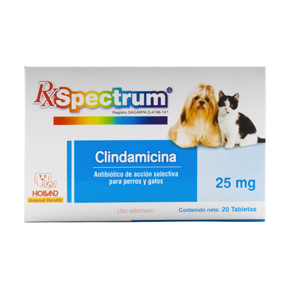 CLINDAMICINA 25 mg C/20 Tab.