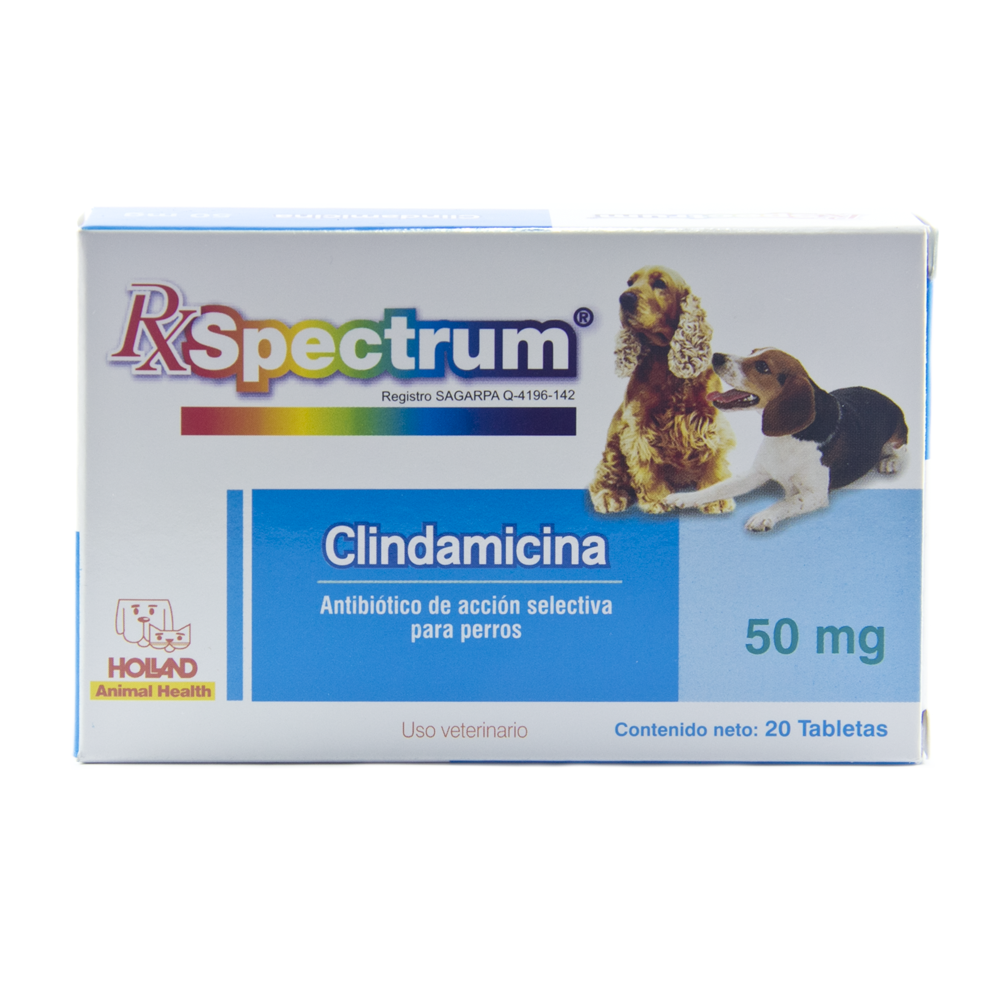 CLINDAMICINA 50 mg C/20 Tab.