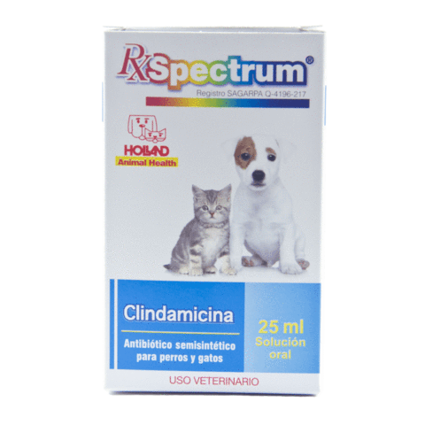 CLINDAMICINA SOLUCION ORAL 25 ML