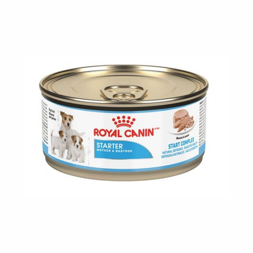 LATA STARTER ROYAL CANIN 145 gr.