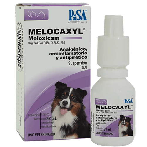 MELOCAXYL 1.5mg/ml ORAL 32 ml.