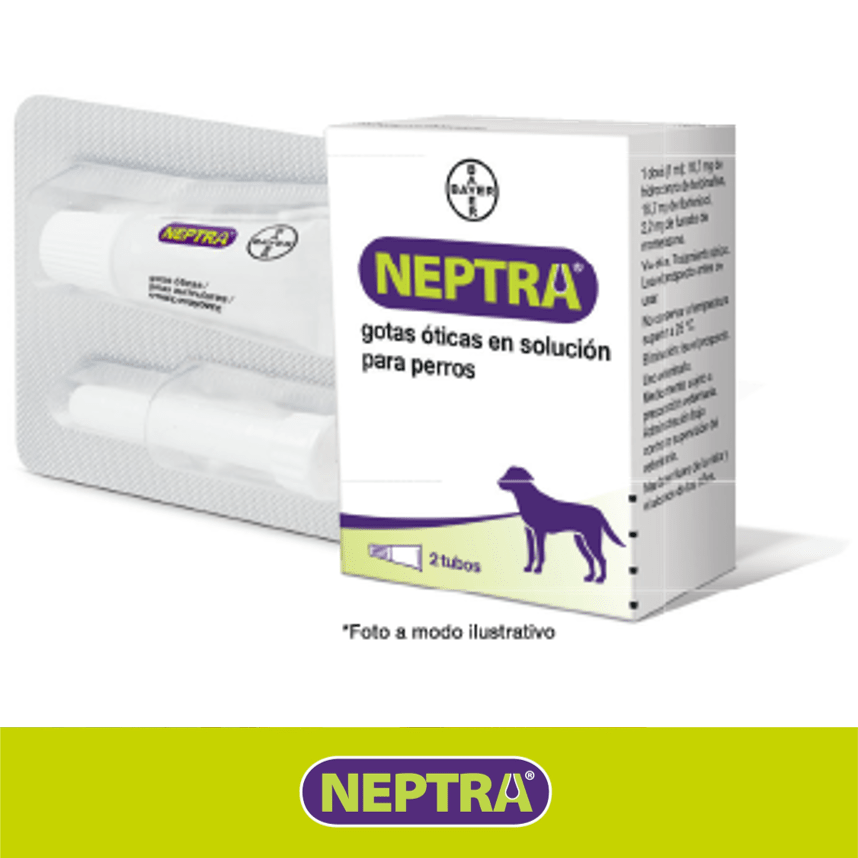 NEPTRA OTICO 1ML