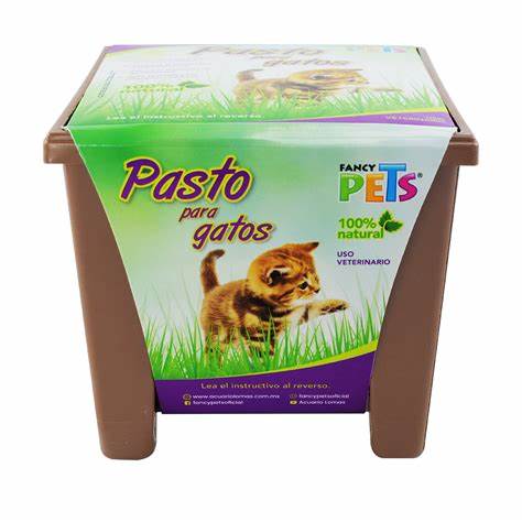 Pasto Para Gatos Fancy Pets