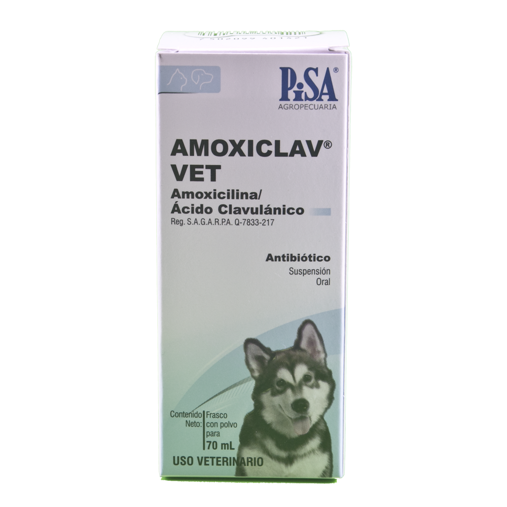 AMOXICLAV VET SUSPENSION 70 ml