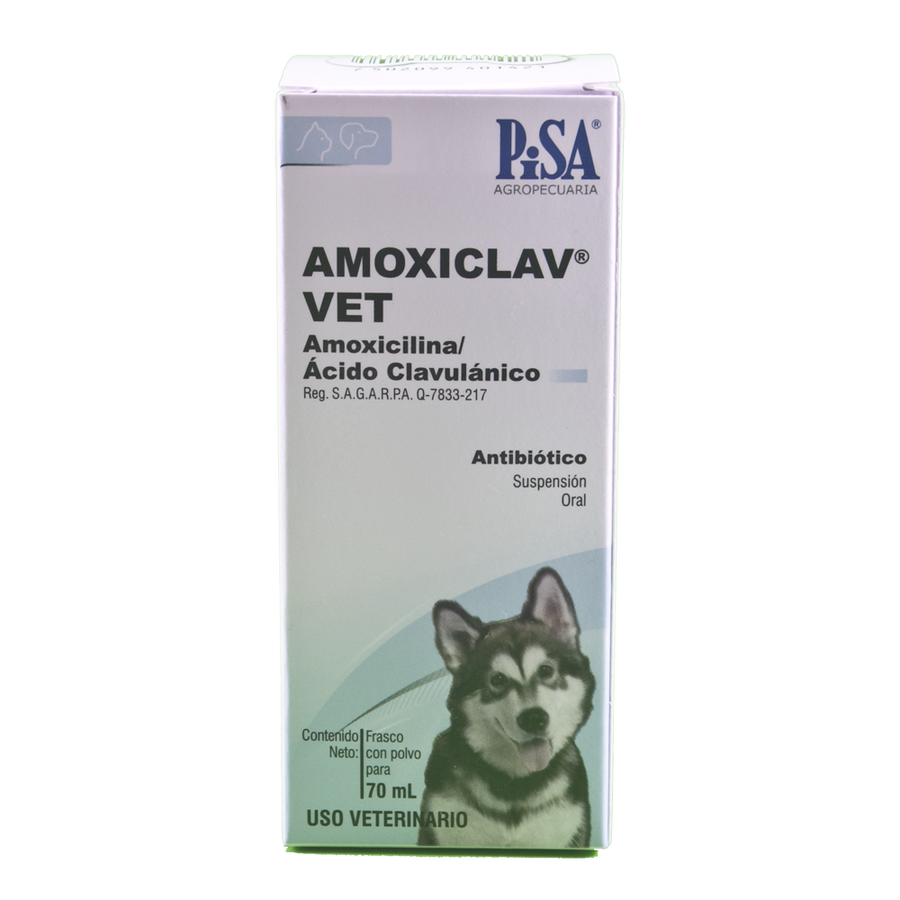 AMOXICLAV VET SUSPENSION 70 ml