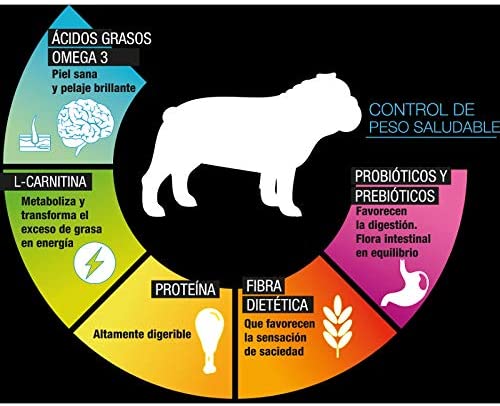 Perfect Sense Comida para perro Light