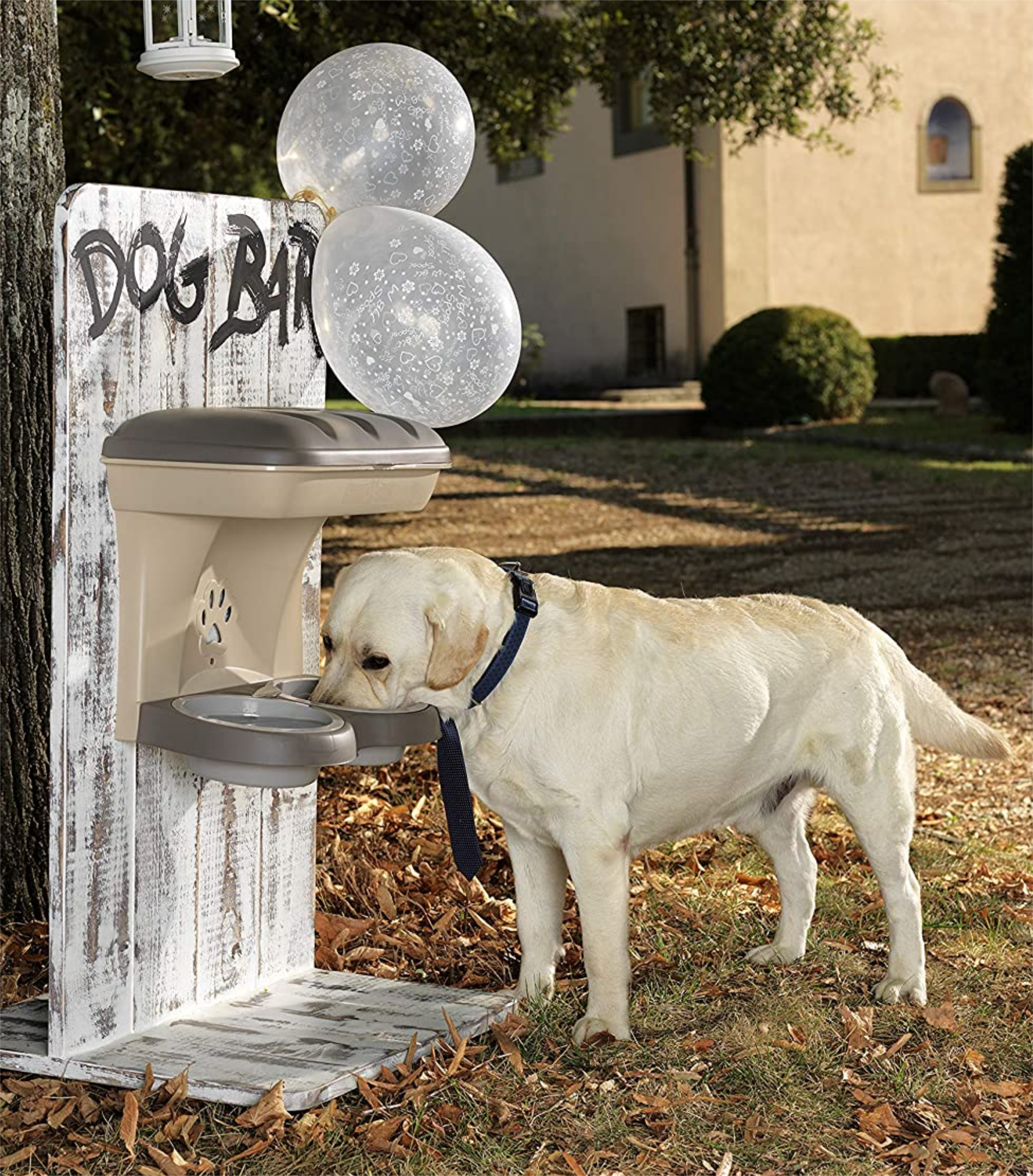 Alimentador elevado para perro mediano Bama Pet