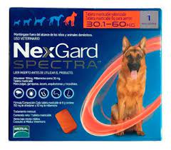 Nexgard SPECTRA PERRO c/1 tab.