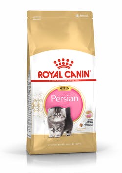 Persian Kitten 1.3kg Profesional