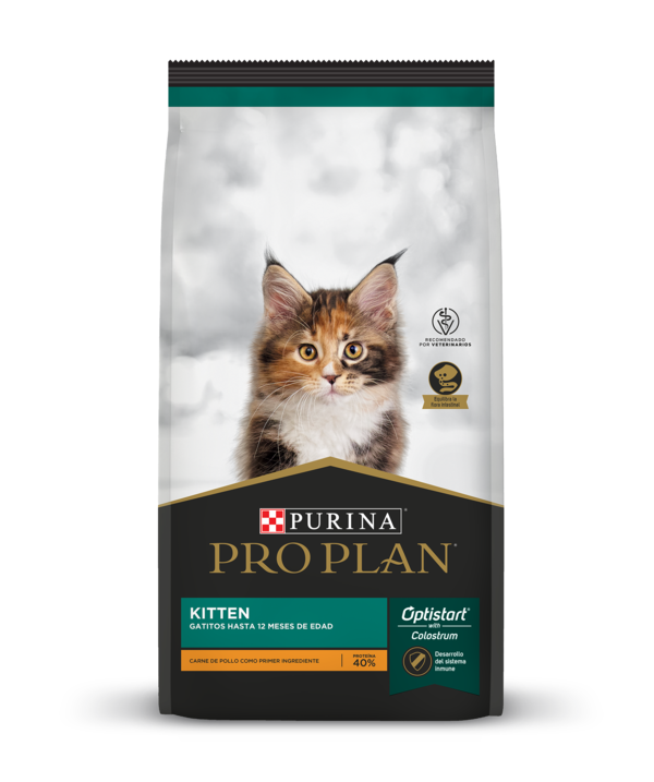 Pro Plan Gato Kitten Pollo Arroz