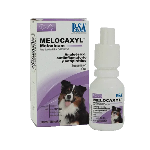 MELOCAXYL 1.5mg/ml ORAL 10 ml.