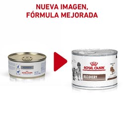 Recovery Lata Canine/Feline Royal Canin 145 Gr.