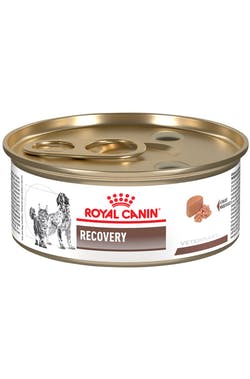 Recovery Lata Canine/Feline Royal Canin 145 Gr.