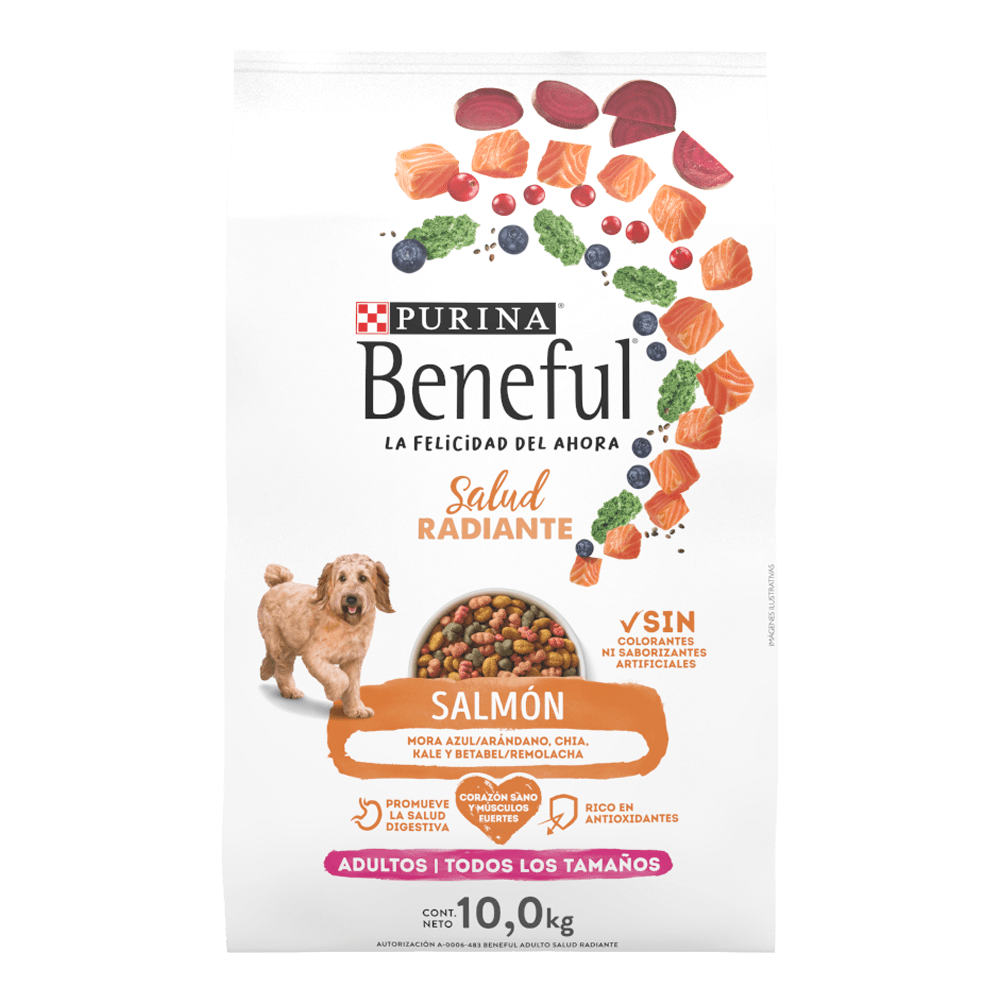 Beneful Minis Salmón 10 Kg. (Purina)